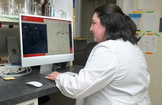 A student reviews a research project on their computer screen